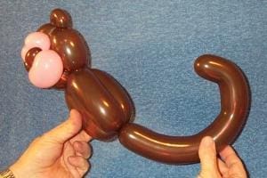 Monkey 12