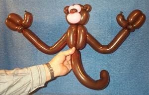 Monkey 17