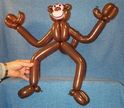 Monkey D