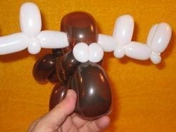 Moose
