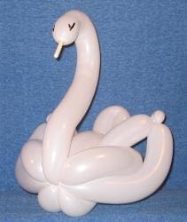 Swanie