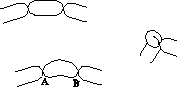 Ear or Pinch twist