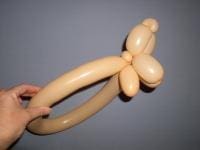 Dog 6