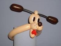 Dog 12