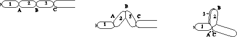 lock twist
