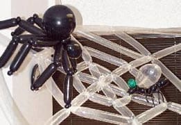 Spider, fly and spider web. Troy Perry