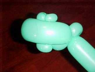 Frog pic